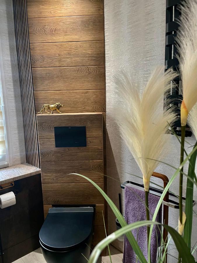 Pod Lwem Apartment Koscierzyna Bagian luar foto