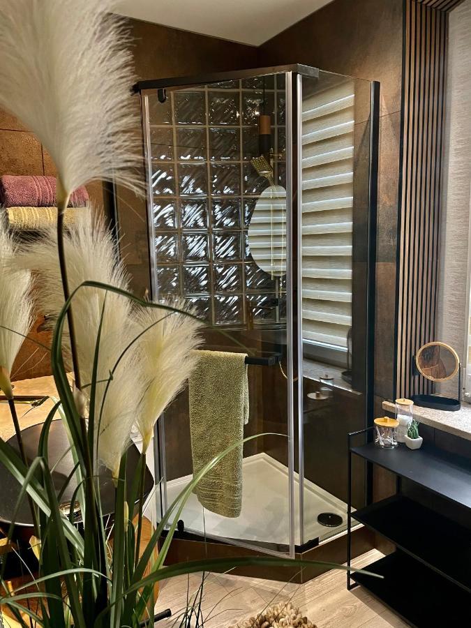 Pod Lwem Apartment Koscierzyna Bagian luar foto